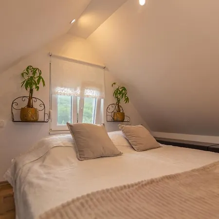 Edvard Poljica (Makarska)